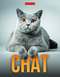 Picture of Chat