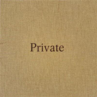 Picture of Tod Lippy: Private /anglais