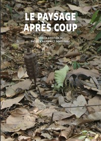Picture of Le Paysage après coup