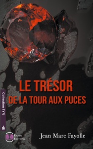 Image de Le tresor de la tour aux puces
