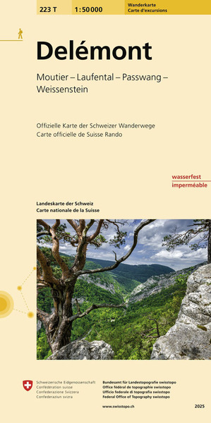 Picture of DELEMONT PEDESTRE