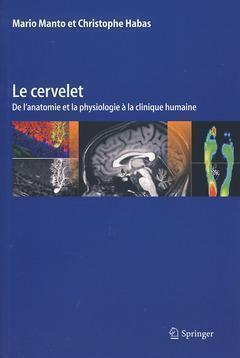 Image de Le cervelet