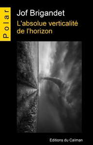 Picture of L'absolue verticalité de l'horizon