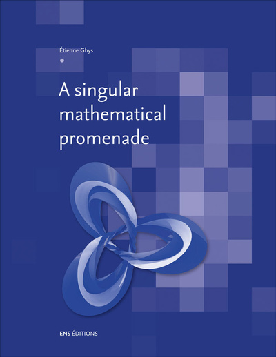 Image de A singular mathematical promenade