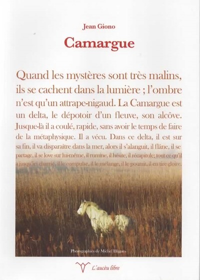 Picture of Camargue