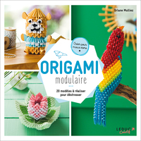 Picture of Origami modulaire