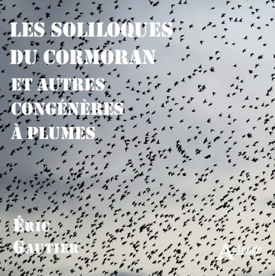 Image de Les soliloques du cormoran et autres congénères à plumes