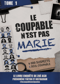 Image de Le coupable n'est pas Marie