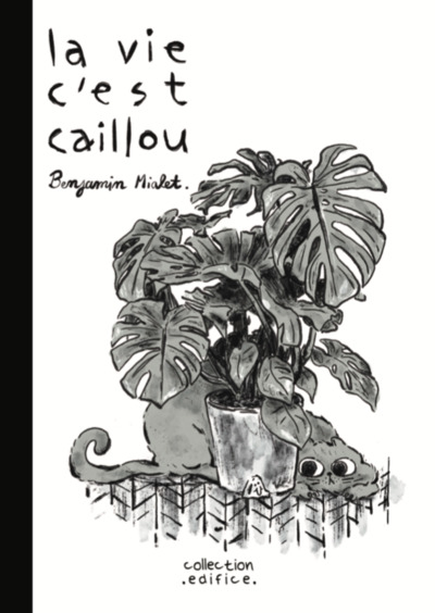 Image de La vie c'est caillou