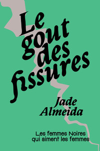 Image de Le Gout des fissures