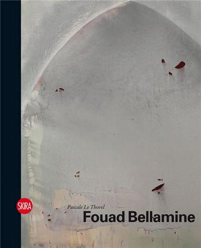 Picture of Fouad Bellamine /franCais/anglais