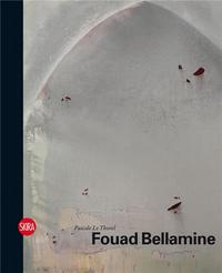 Picture of Fouad Bellamine /franCais/anglais