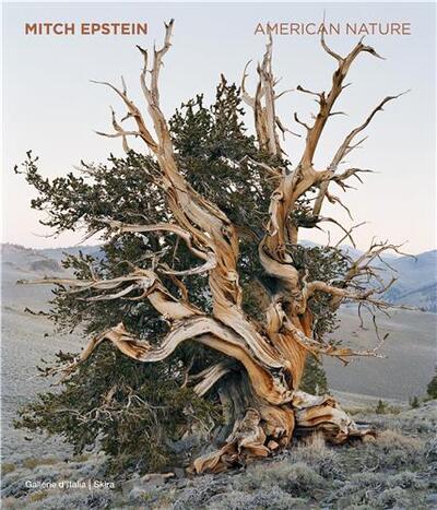 Picture of Mitch Epstein: American Nature /anglais