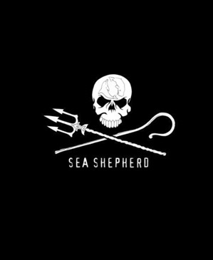 Picture of Sea Shepherd 40 Years /anglais
