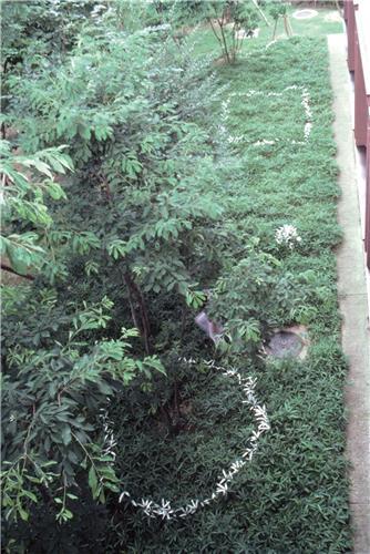 Picture of Kishio Suga Writings, vol. 2, 1980-1989 /anglais