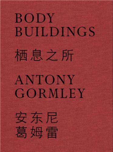 Picture of Antony Gormley Body Buildings /anglais