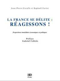 Picture of La France Se Delite : Reagissons