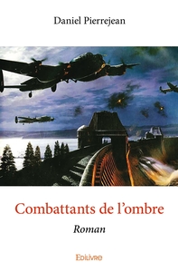 Image de Combattants de l'ombre