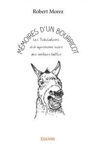 Image de Mémoires d'un bourricot
