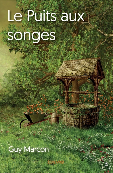 Picture of Le Puits aux songes