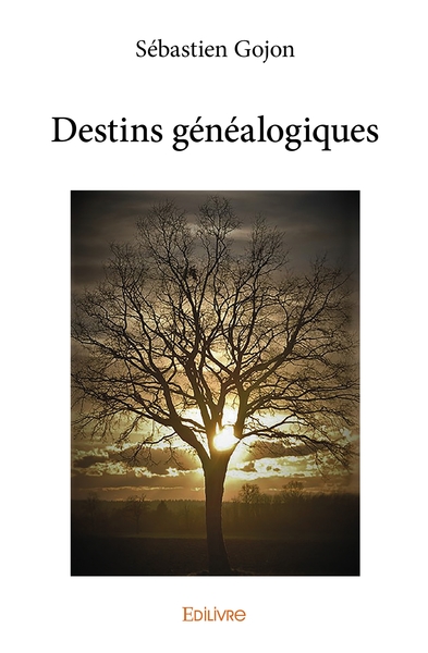 Picture of Destins généalogiques
