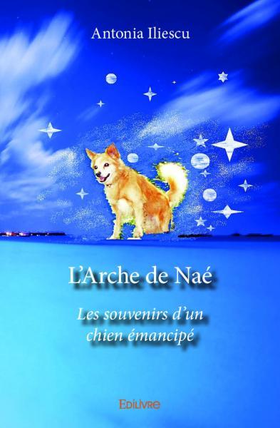 Image de L'arche de naé