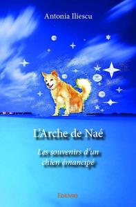 Image de L'arche de naé