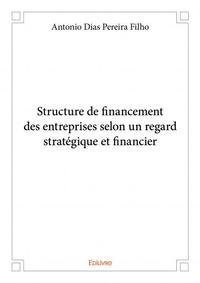 Image de Structure de financement des entreprises selon un regard stratégique et financier