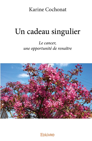 Picture of Un cadeau singulier