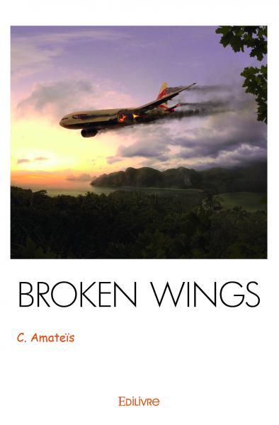 Picture of Broken wings