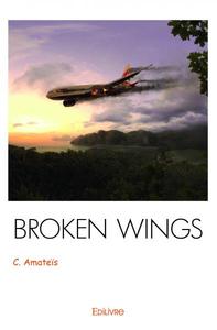 Picture of Broken wings