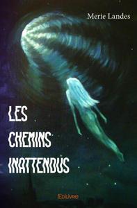Image de Les chemins inattendus