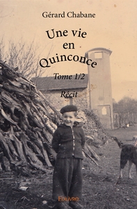 Picture of Une vie en quinconce - Tome 1