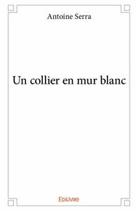 Image de Un collier en mur blanc