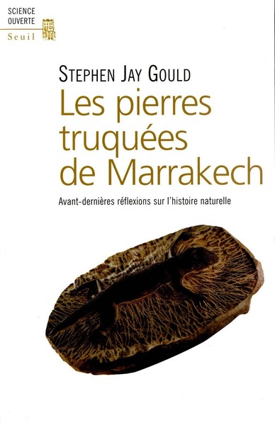 Picture of Les Pierres truquées de Marrakech