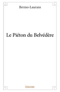 Image de Le piéton du belvédère