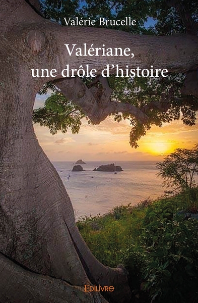 Picture of Valériane, une drôle d'histoire