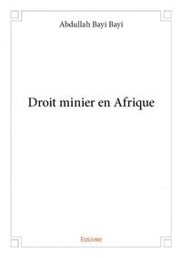 Image de Droit minier en afrique