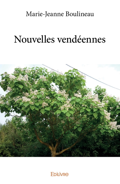 Picture of Nouvelles vendéennes