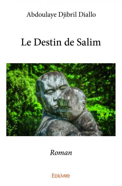 Picture of Le destin de salim