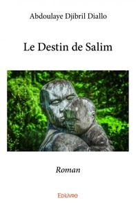 Picture of Le destin de salim