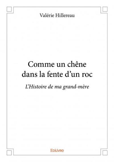Image de Comme un chêne dans la fente d'un roc