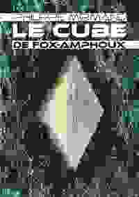 Picture of Le cube de Fox-Amphoux