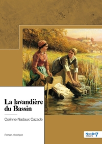 Picture of La lavandière du Bassin