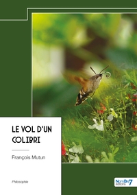 Image de Le vol d'un colibri