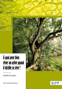 Picture of À quoi peut bien rêver un arbre quand il distille sa sève ?
