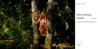 Image de Mes champs visuels [ Apparitions & Reconstructions ] Cycle #2