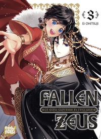 Picture of Fallen Zeus - Le Dieu Suprême et l'esclave T03