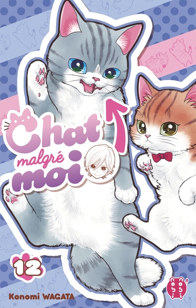 Image de Chat malgré moi T12