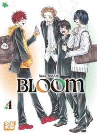 Picture of BLOOM T04